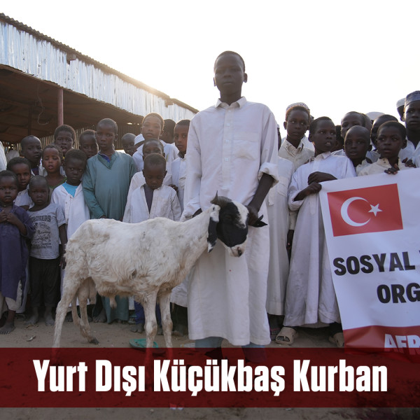 YURT DIŞI KÜÇÜKBAŞ KURBAN